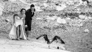 Sposi con Gabbiano alla Tonnara di Scopello - Tommaso D'Angelo Photography